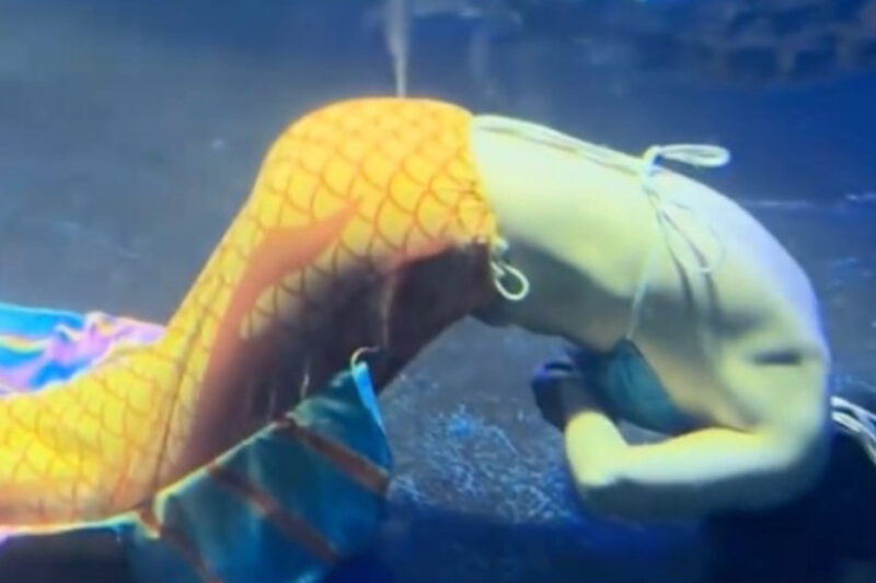 Sirena se desmaya en plena actuación bajo el agua