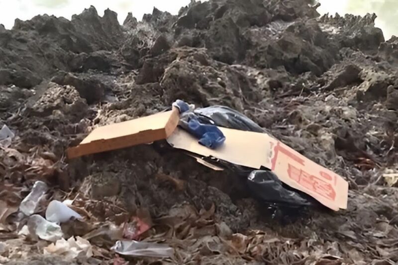 Hallan cuerpo sin vida de niño en estado de descomposición en el Malecón de SD