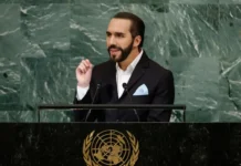 Bukele tilda de irrelevante su participación en la Asamblea General de la ONU