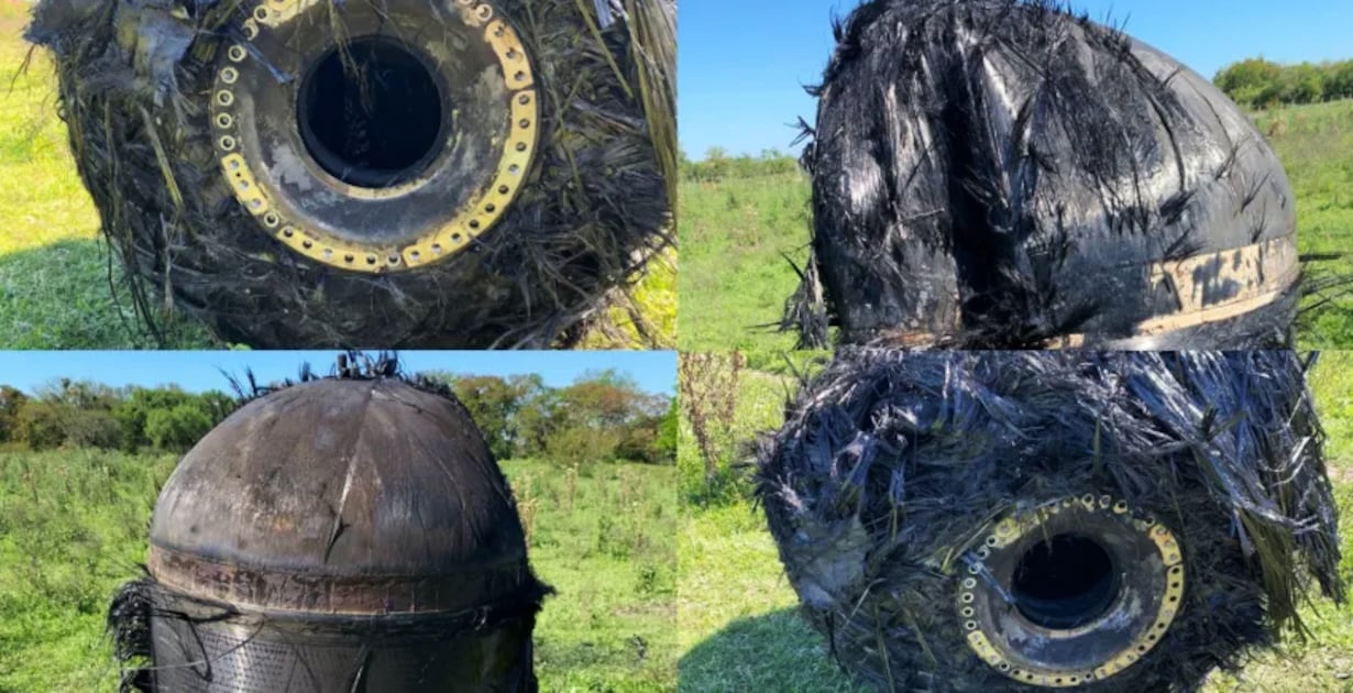 Un extraño bulto cubierto de pelo aparece de manera inesperada en una finca argentina.