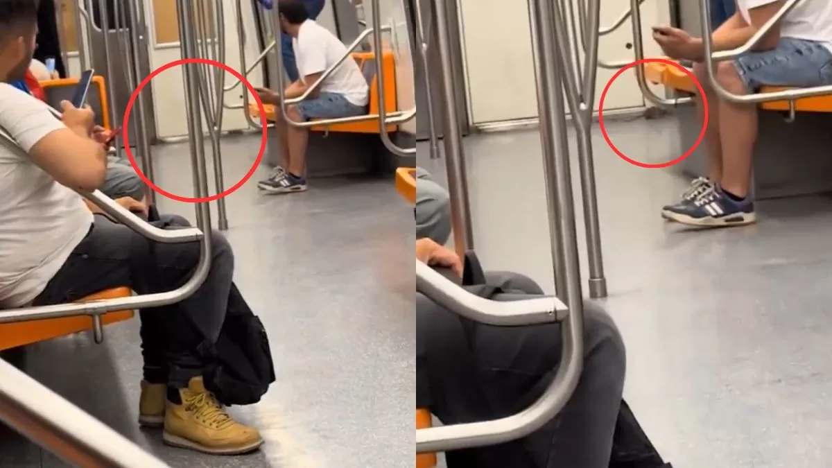 Ratón causa revuelo tras ser grabado recorriendo el Metro de Santo Domingo