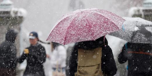 Ola polar extrema pone en alerta a más de 100 millones de personas en Estados Unidos Ola polar extrema pone en alerta a más de 100 millones de personas en Estados Unidos