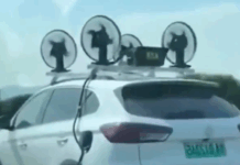 La nueva forma de cargar autos eléctricos al estilo chino durante tus viajes