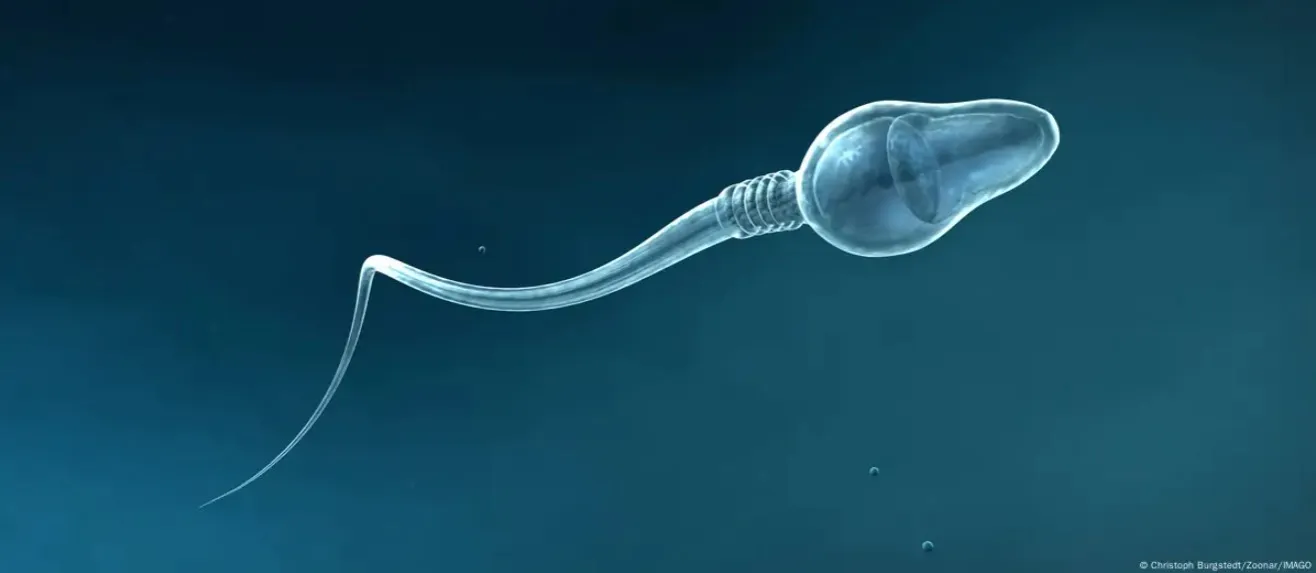 “Revolución médica: IA ayuda a un hombre con infertilidad severa a convertirse en padre”