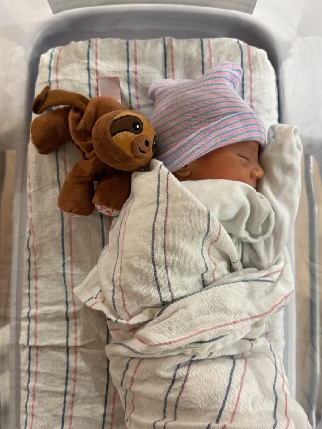 Enrique Iglesias y Anna Kournikova celebran la llegada de un nuevo integrante a la familia