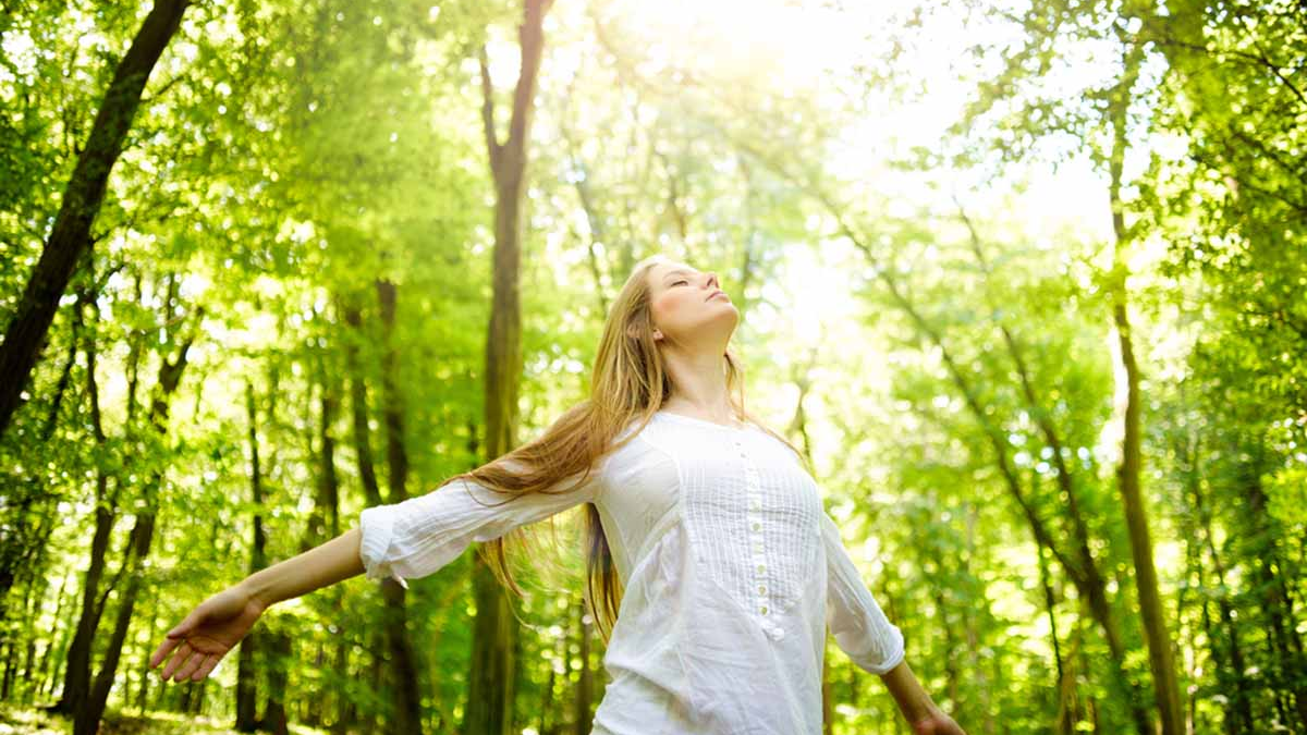 Sanación verde: cómo el contacto con la naturaleza mejora la mente y el cuerpo
