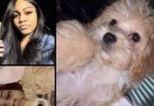 Streamer aspen kartier arrestada y acusada de crueldad animal Muy viral hoy