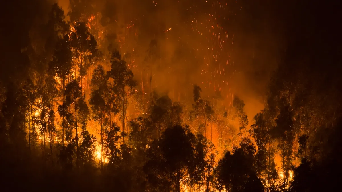 Arrestan al presunto responsable de los incendios mortales en Chile