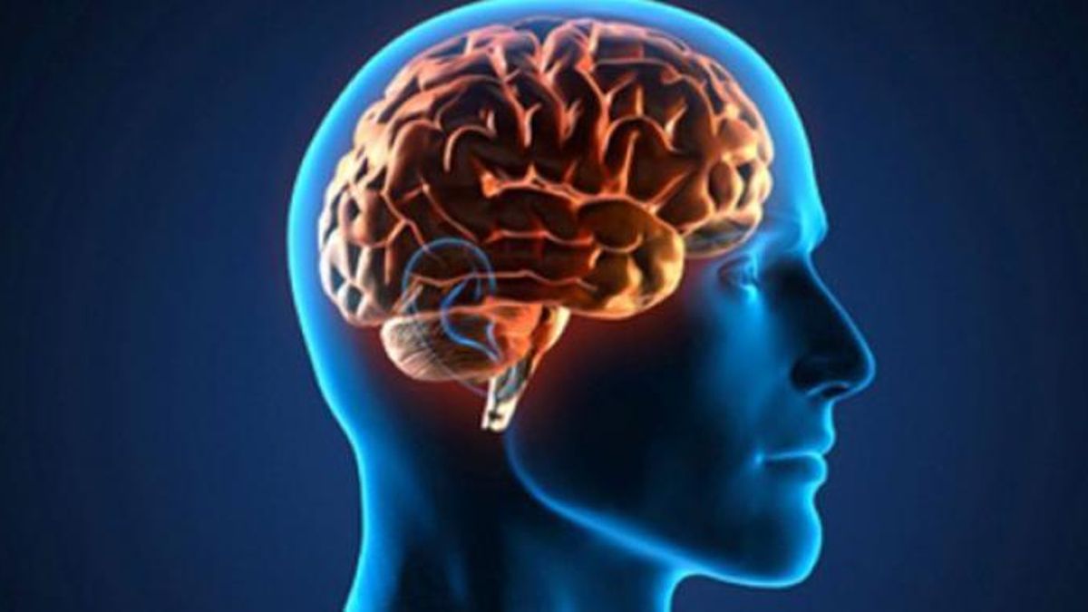 Mitos y realidades de los suplementos “milagrosos” para potenciar el cerebro