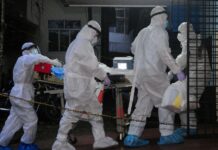 Virus Nipah: la amenaza silenciosa que preocupa a las autoridades