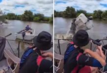 Hipopótamo embiste embarcación y lanza a ocupante al agua