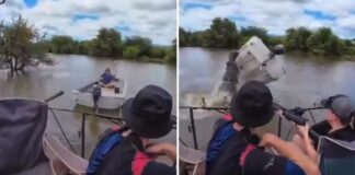 Hipopótamo embiste embarcación y lanza a ocupante al agua