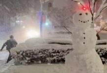 Policías protagonizan guerra de bolas de nieve en plena nevada en Nueva York