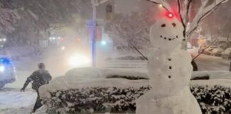 Policías protagonizan guerra de bolas de nieve en plena nevada en Nueva York