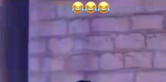 Iban a pelear… pero la policía llegó y terminaron abrazándose 😱😂