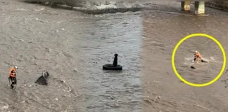 Hallan sin vida a rescatista que intentó salvar a un perro en el río Rímac