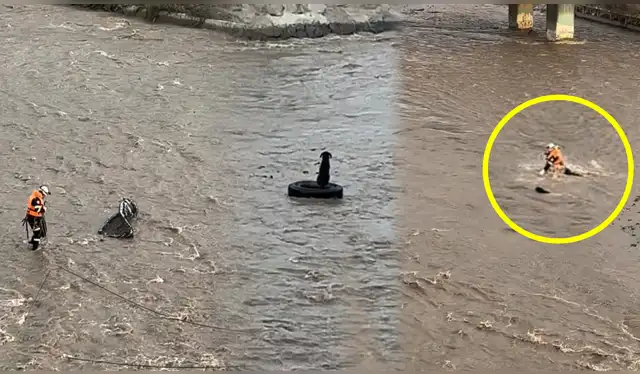 Hallan sin vida a rescatista que intentó salvar a un perro en el río Rímac