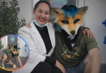 Therians dominan las redes con memes que invaden el mundo humano