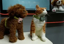 ¿Tu perro te llama por teléfono? La nueva tecnología con IA que permite a las mascotas comunicarse