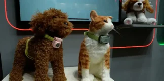 ¿Tu perro te llama por teléfono? La nueva tecnología con IA que permite a las mascotas comunicarse