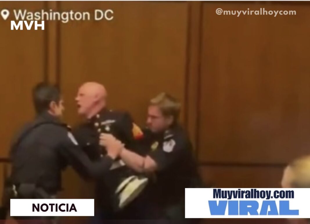 Senador ayuda a sacar a manifestante y el momento se vuelve viral Senador ayuda a sacar a manifestante y el momento se vuelve viral