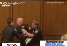 Senador ayuda a sacar a manifestante y el momento se vuelve viral