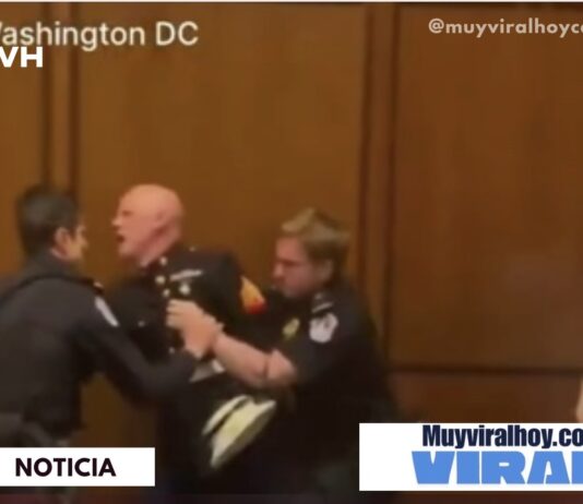 Senador ayuda a sacar a manifestante y el momento se vuelve viral