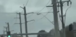 Impactante choque en Florida: un auto sale volando tras brutal accidente captado en video