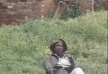 Insólito momento: hombre se vuelve viral tras sentarse tranquilamente sobre un enorme cocodrilo