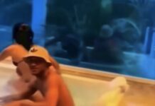 “Doble traición: su esposa embarazada y su mejor amigo lo engañaban a sus espaldas”