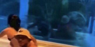 “Doble traición: su esposa embarazada y su mejor amigo lo engañaban a sus espaldas”