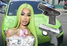 Yailin es detenida tras hallazgo de armas en su vehículo durante operativo en Santo Domingo