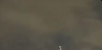 Ignoró las advertencias y murió electrocutado: tragedia impacta a toda una comunidad