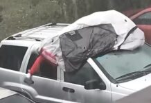 Hombre en Florida se vuelve “escudo humano” para salvar su carro de una tormenta de granizo