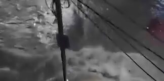 Desastre en Tucumán: carreteras colapsan y autos son arrastrados por violentas inundaciones en Argentina