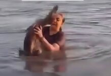 Susto en la laguna: mujer se encuentra cara a cara con un lagarto mientras se bañaba