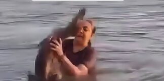 Susto en la laguna: mujer se encuentra cara a cara con un lagarto mientras se bañaba