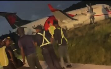 Emergencia aérea en Guyana: avión impacta animal en plena pista y sufre graves daños