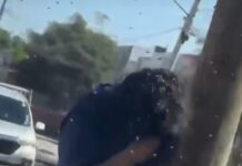 MÉXICO |ATAQUE MASIVO: MUJER ES PICADA MÁS DE 200 VECES POR ABEJAS EN Culiacán