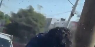 MÉXICO |ATAQUE MASIVO: MUJER ES PICADA MÁS DE 200 VECES POR ABEJAS EN Culiacán