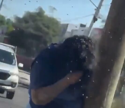 MÉXICO |ATAQUE MASIVO: MUJER ES PICADA MÁS DE 200 VECES POR ABEJAS EN Culiacán