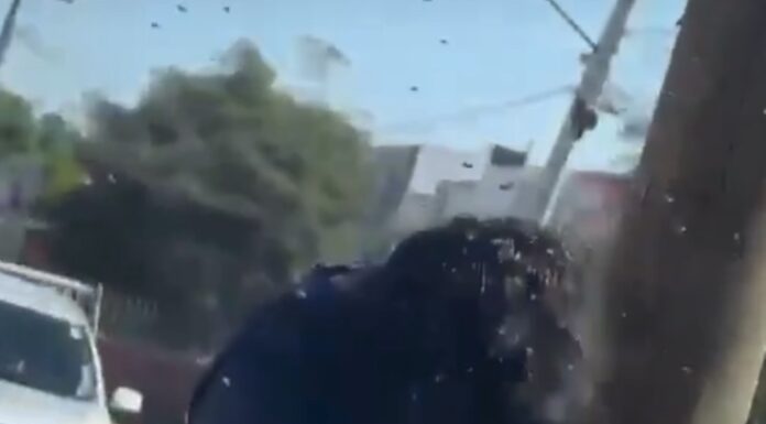 MÉXICO |ATAQUE MASIVO: MUJER ES PICADA MÁS DE 200 VECES POR ABEJAS EN Culiacán