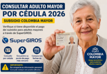 Consultar Adulto Mayor por Cédula 2026: así puede verificar el pago del subsidio en SuperGIROS
