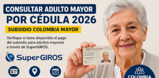 Consultar Adulto Mayor por Cédula 2026: así puede verificar el pago del subsidio en SuperGIROS