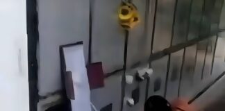 Impactante en Colombia: joven desentierra a su novio fallecido para bañarlo, perfumarlo y vestirlo de nuevo