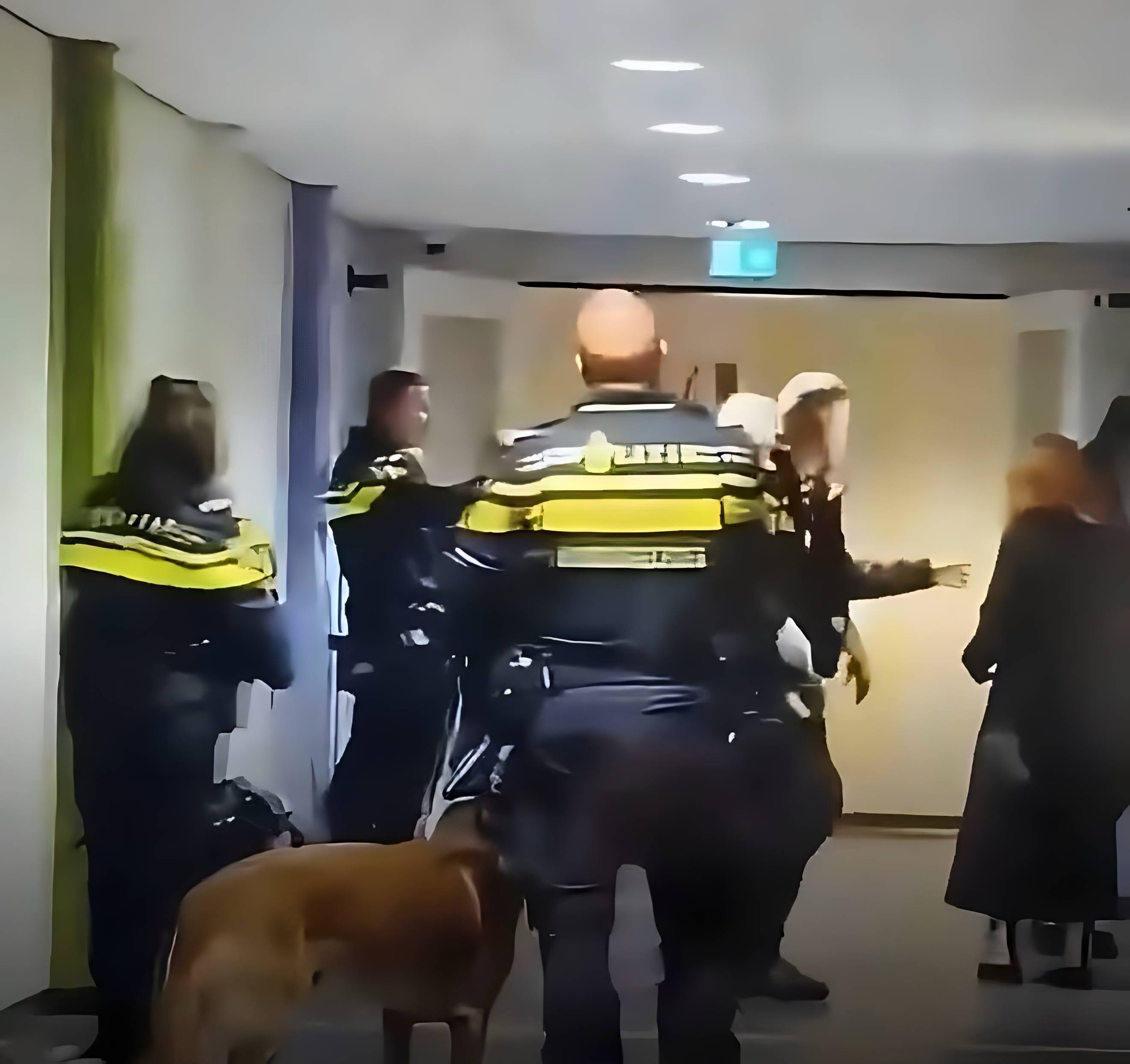 Mujer embarazada es derribada durante intervención policial en hospital de Ámsterdam; su esposo enfrenta a los agentes