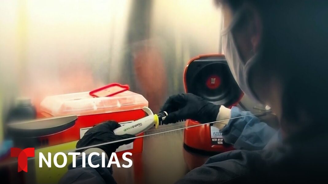 Aíslan a viajeros de crucero en EE.UU. tras alerta por hantavirus Aíslan a viajeros de crucero en EE.UU. tras alerta por hantavirus