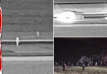 Impactante video capta el momento en que un avión de Frontier Airlines atropella accidentalmente a una persona en plena pista