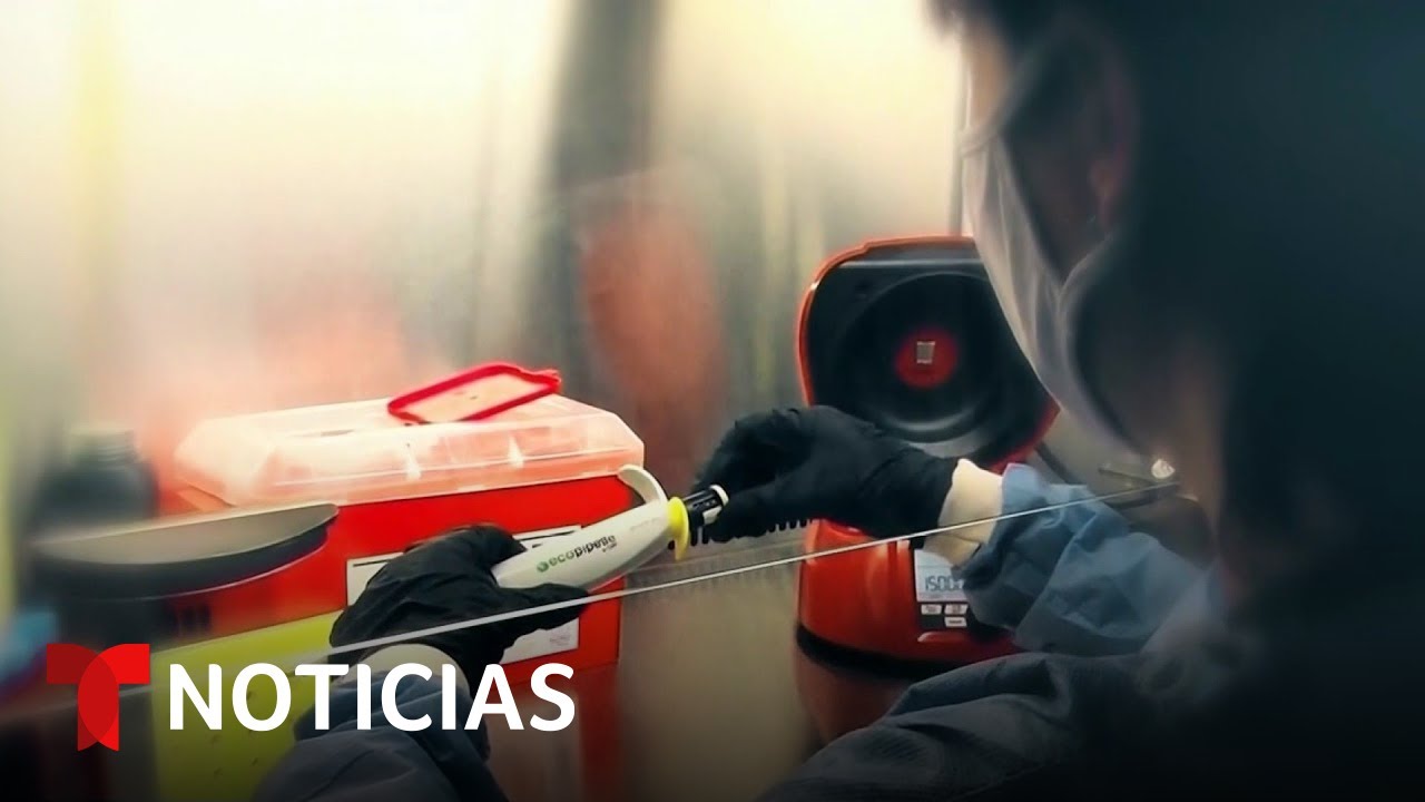Aíslan a viajeros de crucero en EE.UU. tras alerta por hantavirus