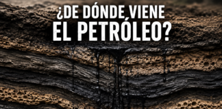 ¿De dónde viene el petróleo? El origen del “oro negro” que mueve al mundo